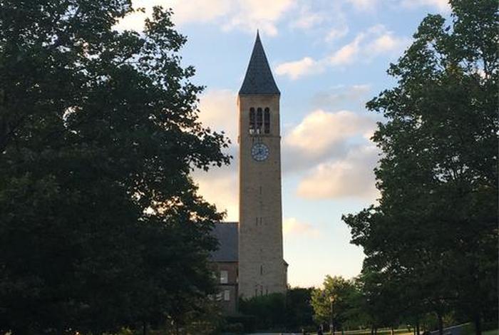 大学