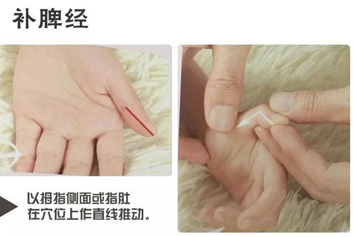 学习推拿按摩手法全过程（推拿按摩基本手法教程视频）