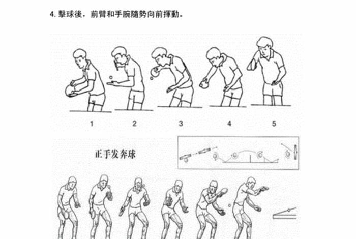 学习乒乓球基础 初学乒乓球基本功教程