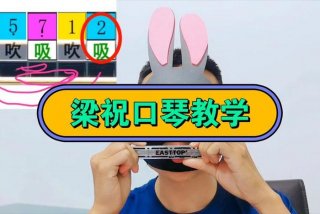 乐器学习价格表，学乐器大概的价格