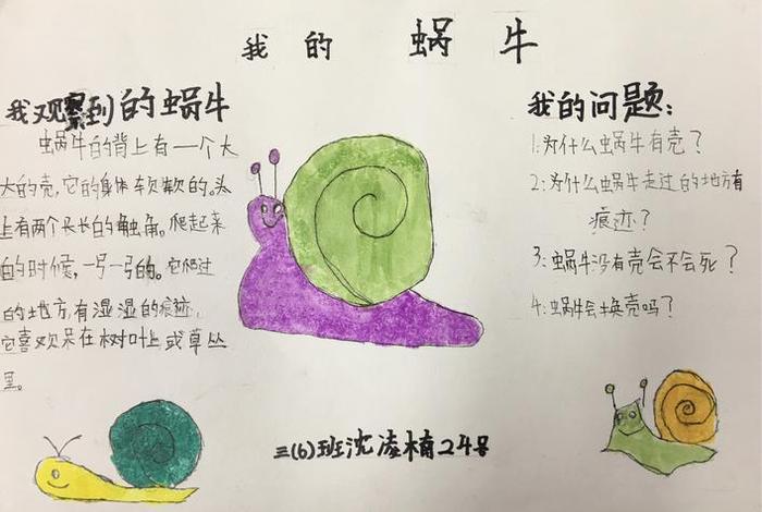 观察