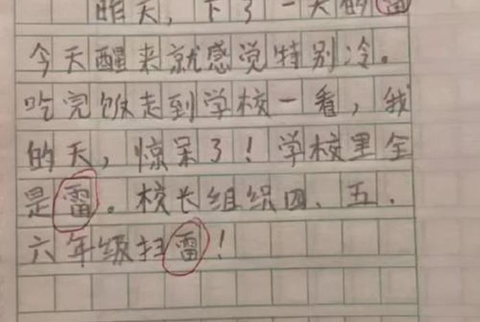 小学生的日记怎么写；小学生的日记怎么写？