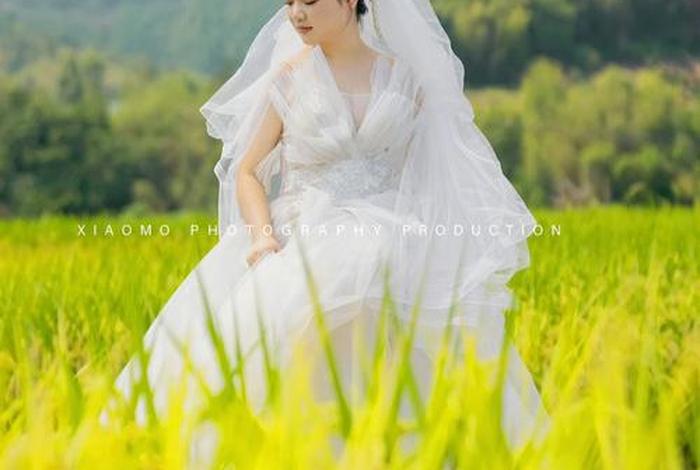 麦田映像婚纱摄影怎么样；麦田映像官网