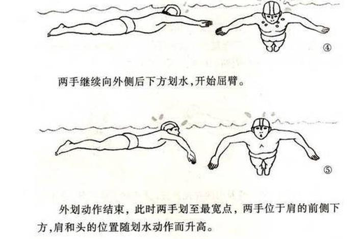 怎么学习蛙泳和蛇泳，如何学蛙泳视频