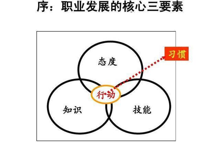 技能的学习阶段包括哪几个、技能形成的几个阶段