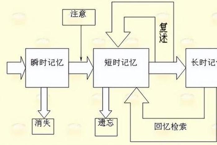学习记忆最快的办法，学好记忆法的几个步骤