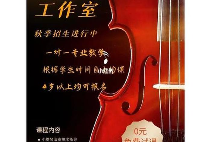 郑州成人学习小提琴，郑州小提琴培训班多少钱