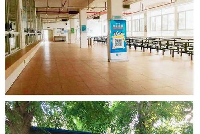 财务学校的天花板 财务学校有哪些