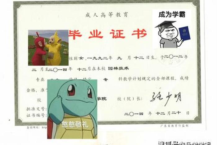 大专学历怎么考本科（大专学历怎么考本科学历）