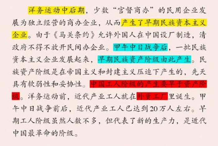 纲要