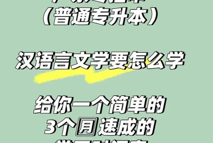 学习v语言 - 学语言应该怎么学