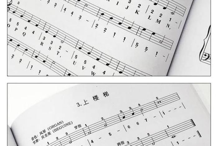 学乐谱从零开始、学乐谱从零开始学什么