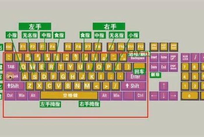 学习打字入门视频教程、学打字步骤