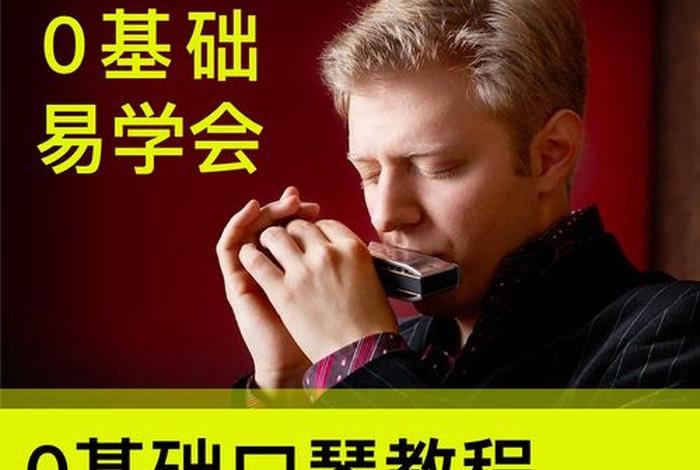 学习口琴买24孔还是10孔（口琴选10孔还是24孔）