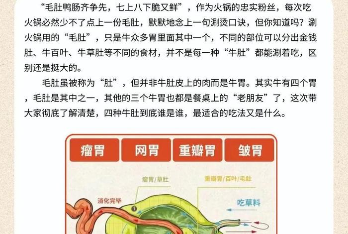 学习关于牛的知识（有关牛的知识）