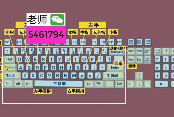 学习打字快速入门免费；学打字最快的方法软件下载