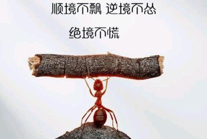 逆境