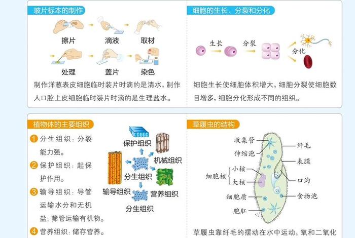如何学好生物的方法和技巧（如何学好生物的方法和技巧初中）