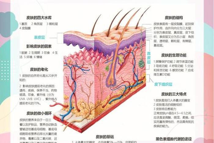 学皮肤管理课程 - 皮肤管理自学