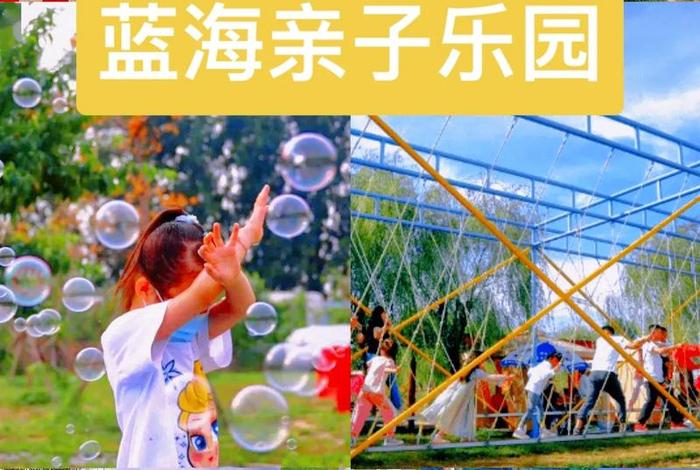 亲子学习乐园视频，亲子乐园活动怎么做