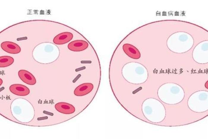 tu血小板（兔血小板裂解物）