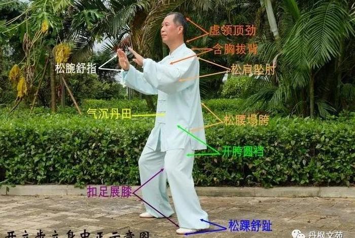 桩功教学视频（混园桩站桩功教学视频）