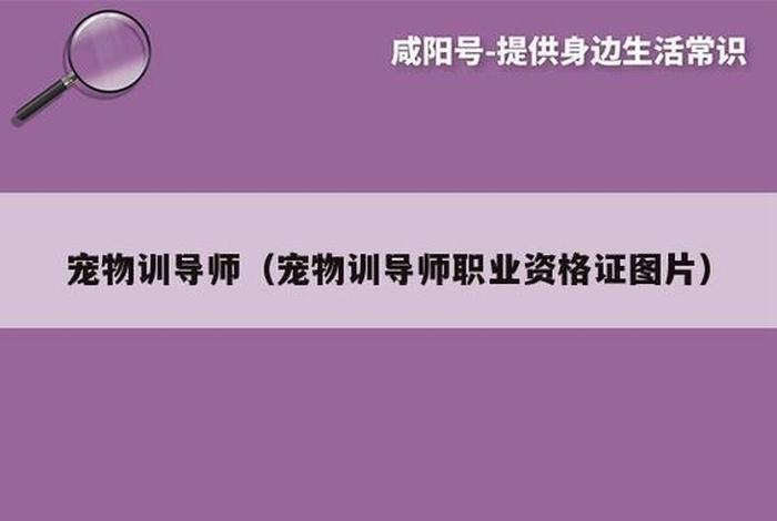 宠物训导师怎么考证；宠物训导师多少钱一月