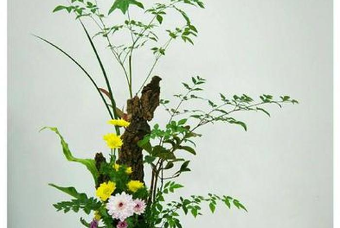 学习插花设计，插花设计基础