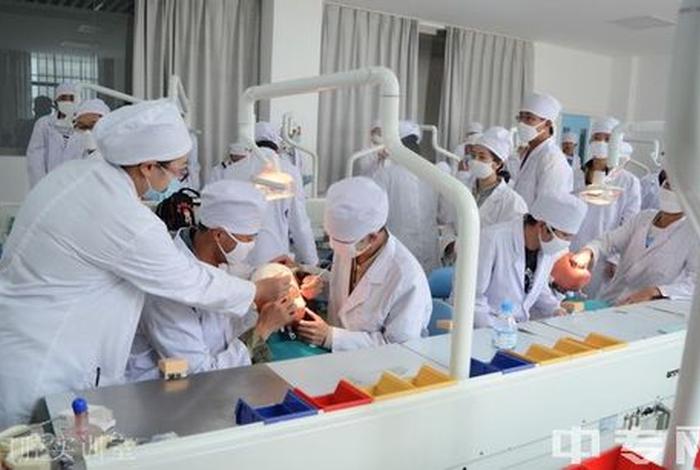 学习牙科的职业学校；牙科医校