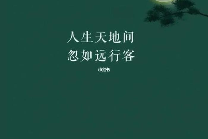 人生