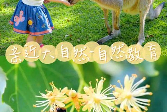 向大自然学习以自然为师；向大自然那样思考作文