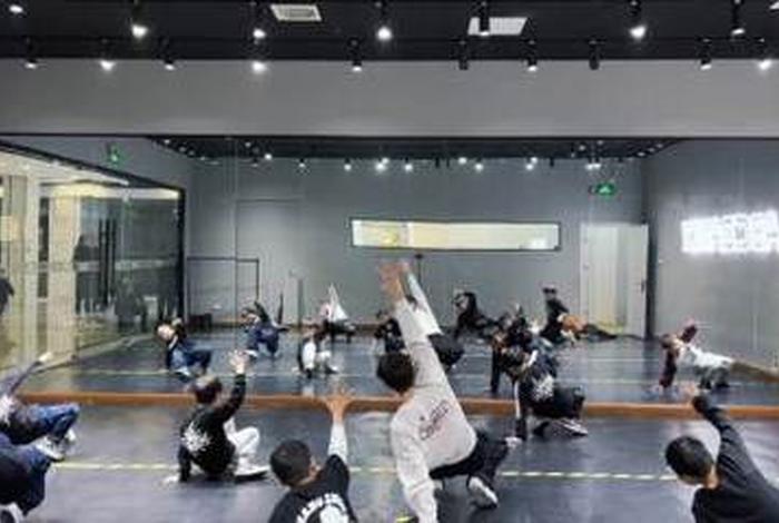 街舞教学视频 初学街舞教学视频