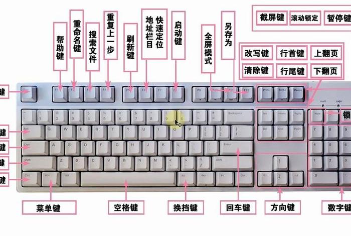 键盘基础教学、键盘入门教程1