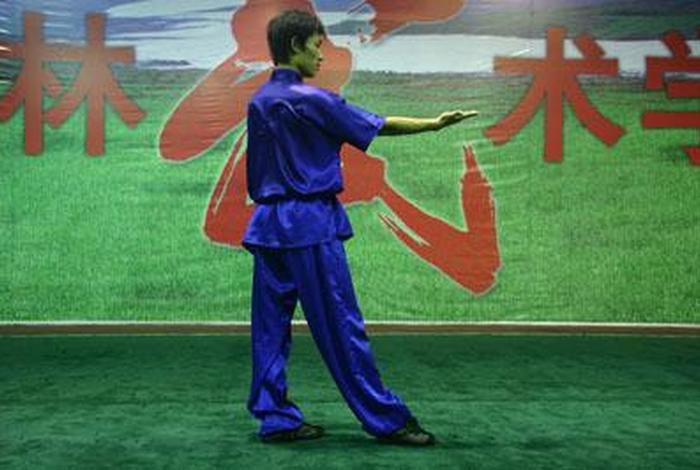 学武术的视频教程（中国武术视频）