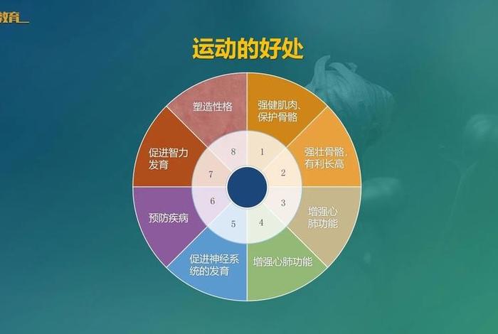 锻炼怎么学，运动怎么学