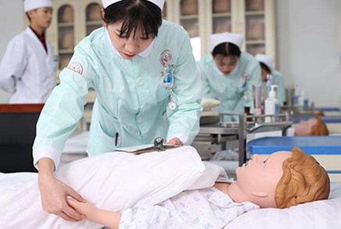 学高护去哪个学校好、学高护都学什么