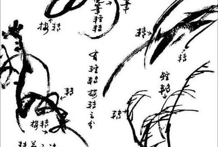 国画入门初学技巧自学（国画入门自学教程）