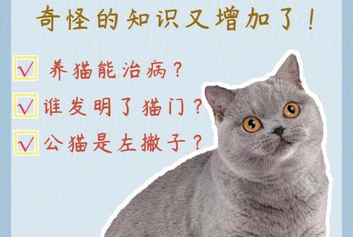 学习猫的知识 - 猫的学问