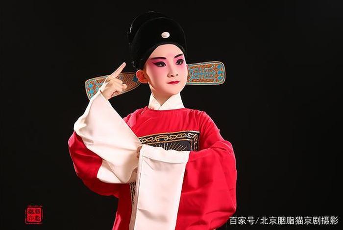 学京剧需要什么条件 - 孩子学戏曲有出路吗