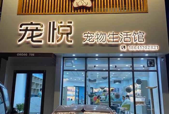 学宠物美容去哪里学比较好点，现在开宠物店前景好吗