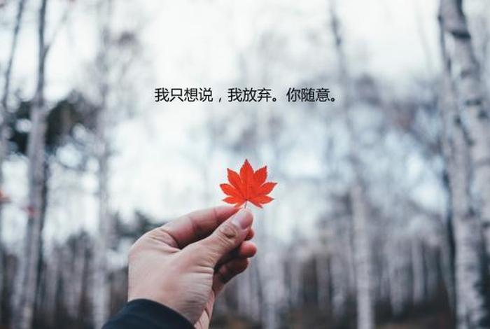 放弃
