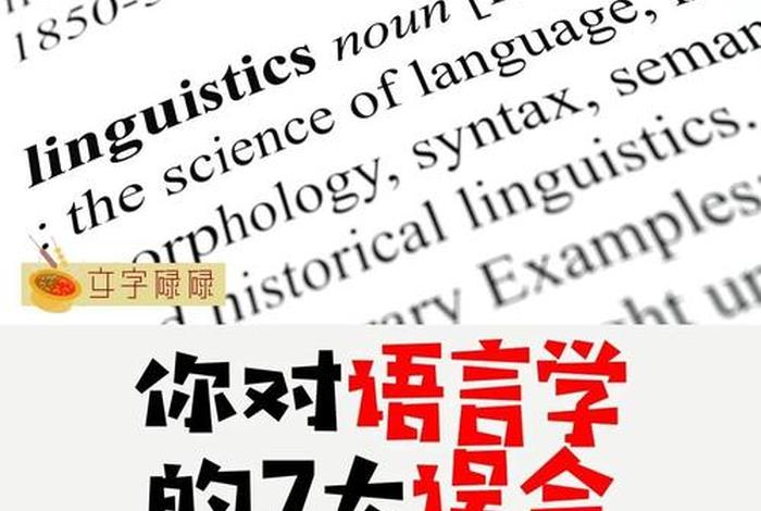 学习v语言 - 学语言应该怎么学