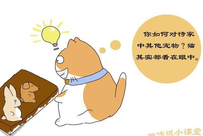 对待