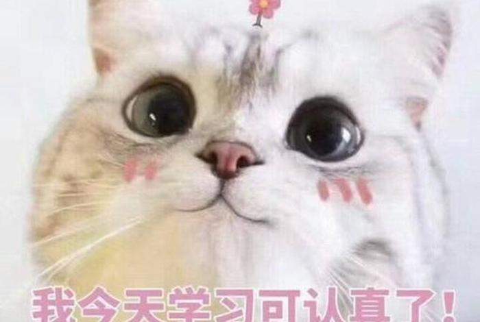 夸学
