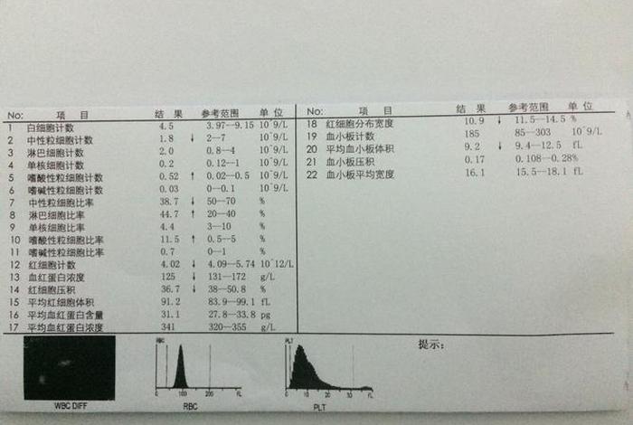 兔血小板细胞尺寸是多少（兔血红细胞计数正常值）