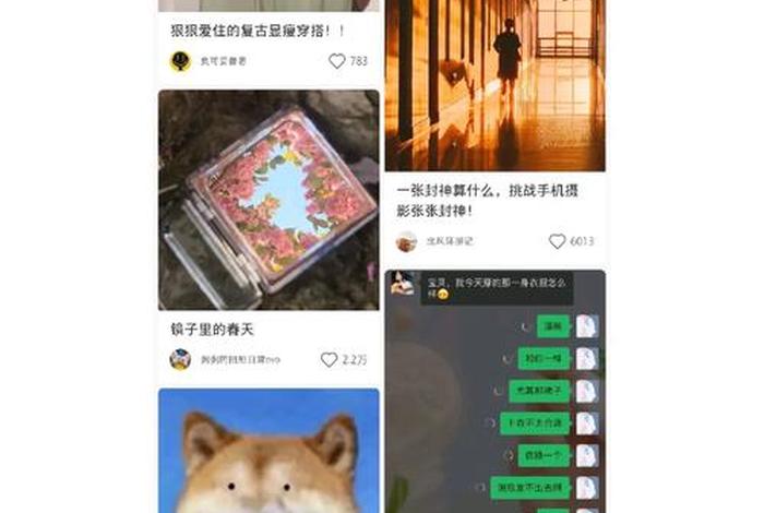 q学校、Q学校是什么意思