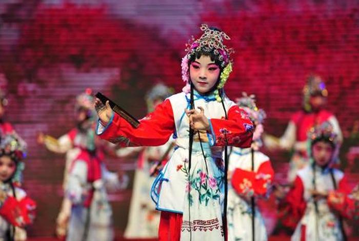 哪个学校学习京剧，学京剧的学校