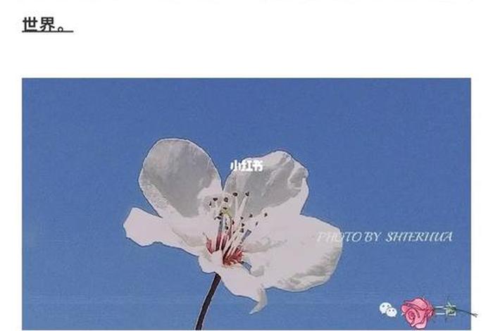 学习的公众号文案，微信公众号优秀文案范文