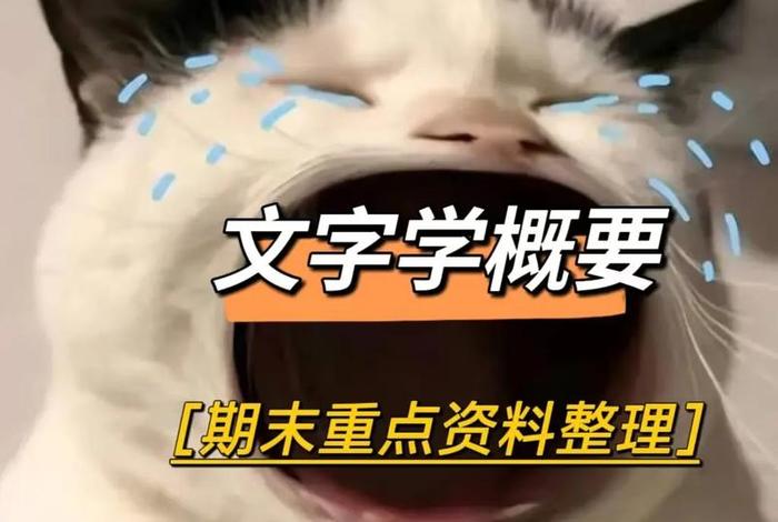 学学文字，文字学视频