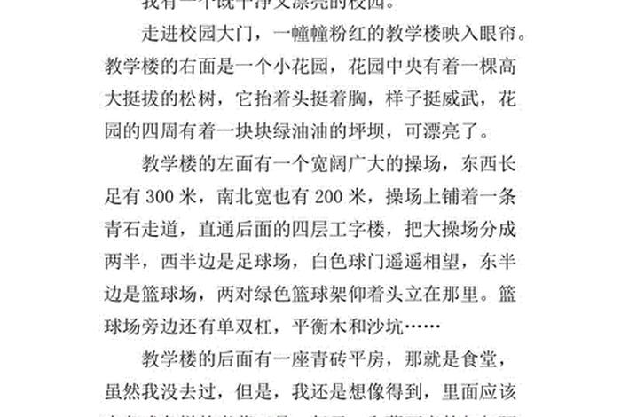 学校的什么作文，学校的什么作文200字